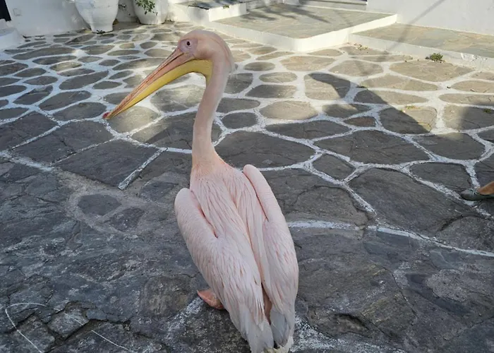 דירה Lalaland Mykonos Town