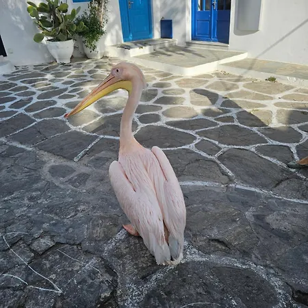 Daire Lalaland Mykonos Town